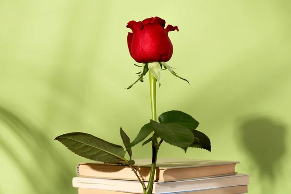 Sant Jordi 2026 (23 de abril, Día del Libro): la Asociación Literaria Nueva Era se suma a la celebración
